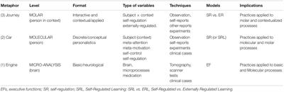 Implications of Unconnected Micro, Molecular, and Molar Level Research in Psychology: The Case of Executive Functions, Self-Regulation, and External Regulation